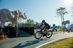 BIB: 
                            <button type="button" onclick="openModal(26182974)" class="btn btn-primary btn-sm float-right btn-popup" data-toggle="modal" data-target=".modal-high-quality">
                        <i class="fas fa-shopping-cart"></i> Add to Cart
                    </button>
                                            <button type="button" onclick="isThisMe(26182974, true)" class="btn btn-success btn-sm float-right btn-popup btn-isme hidden" data-toggle="tooltip" data-placement="bottom" title="นี่คือรูปของคุณใช่ไหม คลิกที่นี่เพื่อเอาเข้าอัลบั้ม">
                        <i class="fas fa-plus"></i> Add to album
                    </button>
                    <button type="button" onclick="isThisMe(26182974, false)" class="btn btn-warning btn-sm float-right btn-popup btn-isnotme hidden">
                        <i class="fas fa-ban"></i> Remove from album
                    </button>